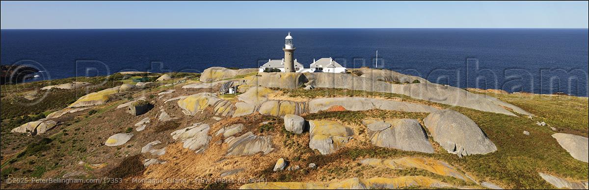 Peter Bellingham Photography Montague Island - NSW (PBH4 00 9644)